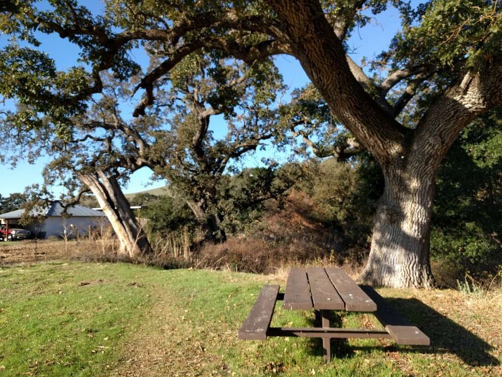 Tassajara Creek Regional Park | Tassajara Rd, Dublin, CA 94568, USA | Phone: (888) 327-2757