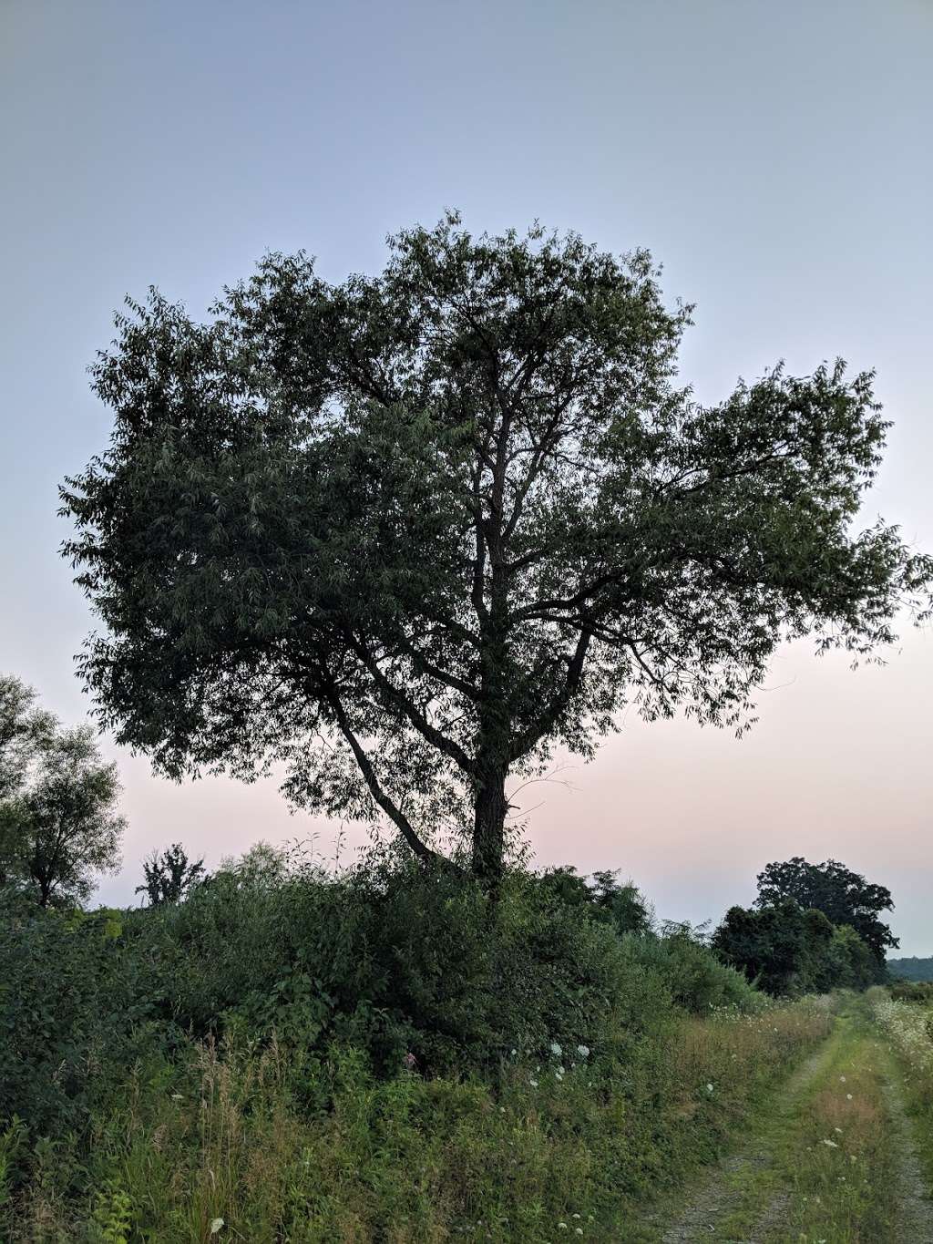 Kettle Moraine Low Prairie State Natural Area | Stark Rd, Eagle, WI 53119, USA | Phone: (608) 266-0394