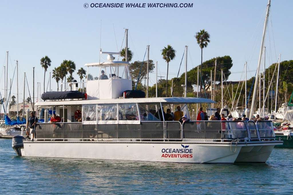 Oceanside Adventures | 256 Harbor Dr, Oceanside, CA 92054, USA | Phone: (888) 507-1130