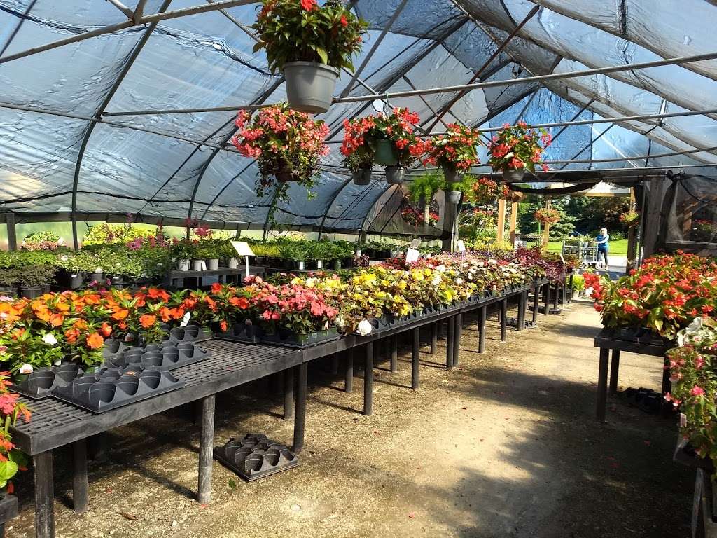 West End Florist & Garden Center | 3800 Old Glenview Rd, Evanston, IL 60201, USA | Phone: (847) 251-1943