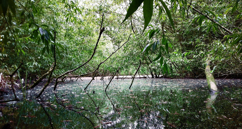 Parndon Lock Meadows | Harlow CM20 2HR, UK