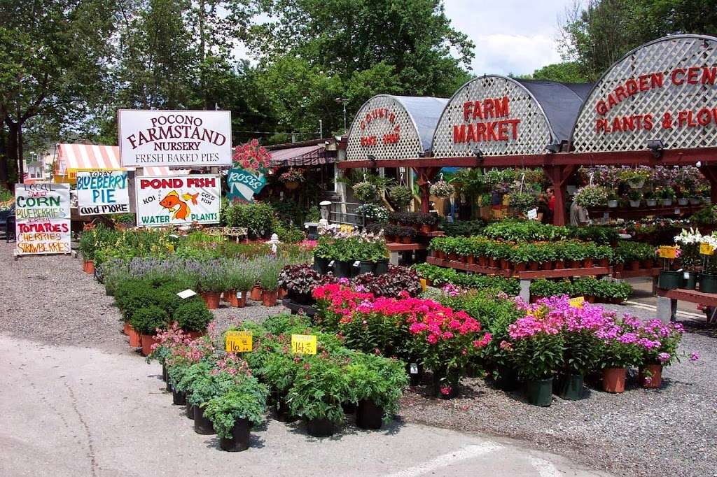 Pocono Farm Stand & Nursery | 3013 PA-611, Tannersville, PA 18372, USA | Phone: (570) 629-4344