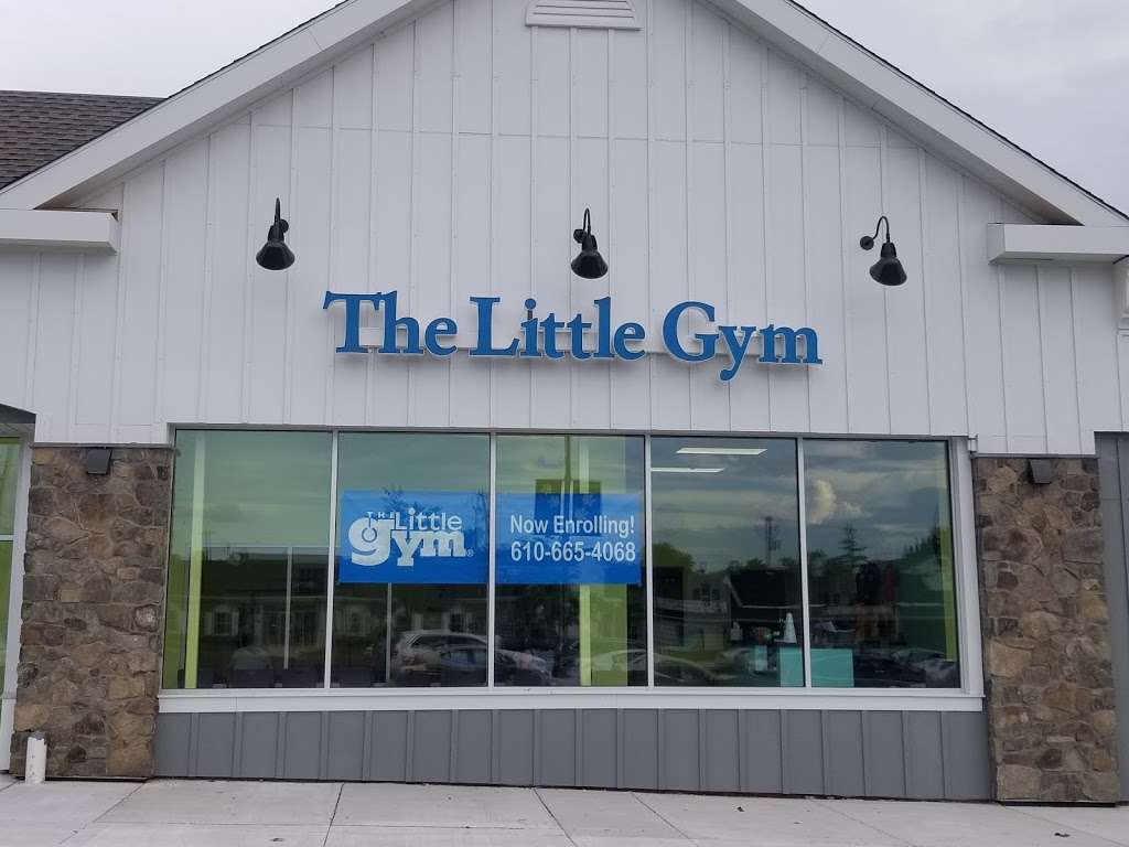 The Little Gym of Audubon | 2802 Audubon Village Dr, Audubon, PA 19403, USA | Phone: (610) 665-4068