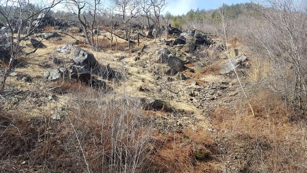 Blue Mountain Loop | Appalachian Trail, Slatington, PA 18080