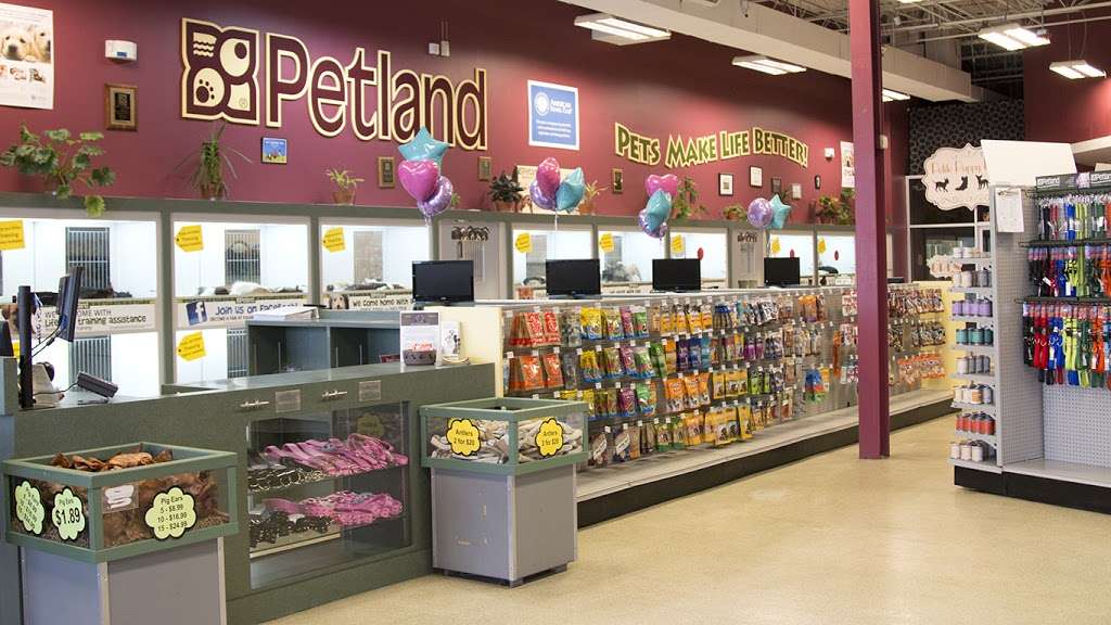 Petland Naperville | 720 IL-59 #112, Naperville, IL 60540 | Phone: (630) 357-3801