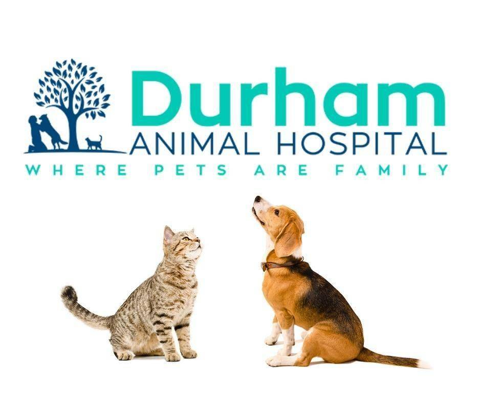 Durham Animal Hospital | 4306 N Roxboro St, Durham, NC 27704, USA | Phone: (919) 620-7387