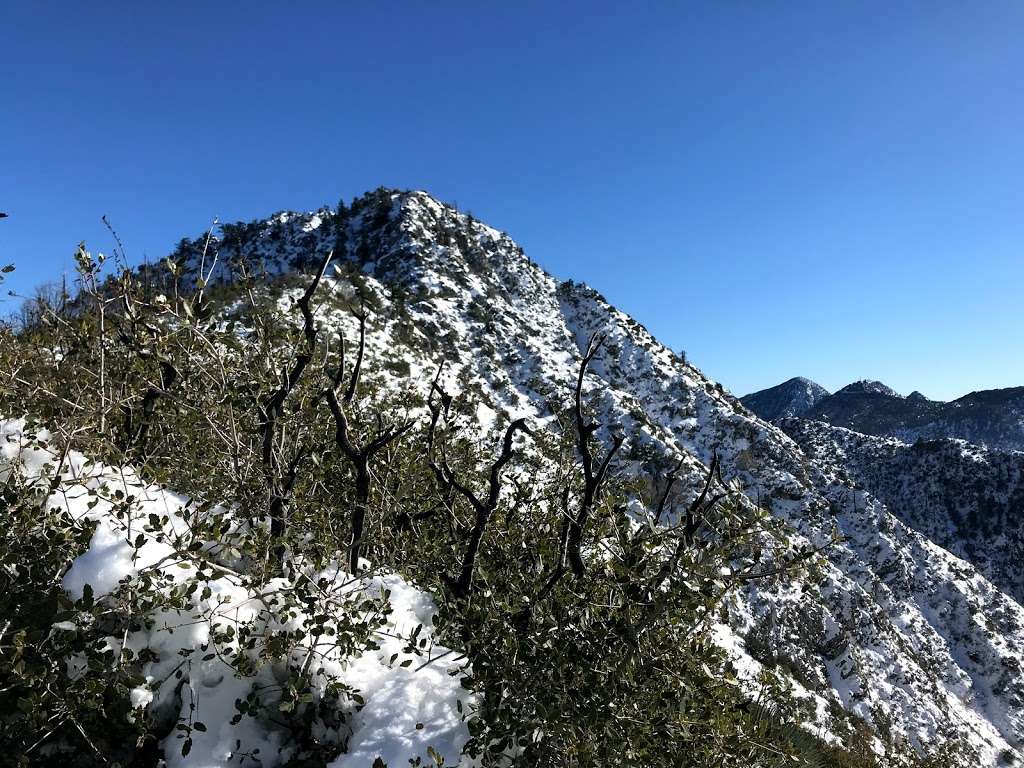 Strawberry peak west ridge | Colby Cyn Trail, Palmdale, CA 93550, USA