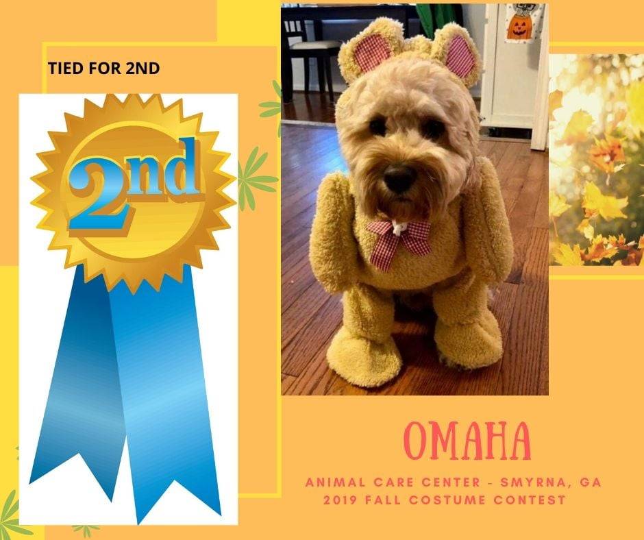 Animal Care Center | 4188 S Cobb Dr SE, Smyrna, GA 30080, USA | Phone: (770) 438-2694