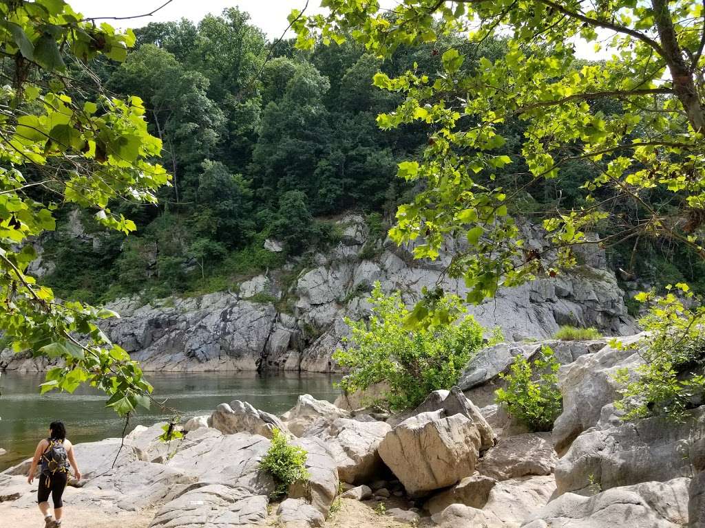 Cow Hoof Rock | McLean, VA 22102, USA