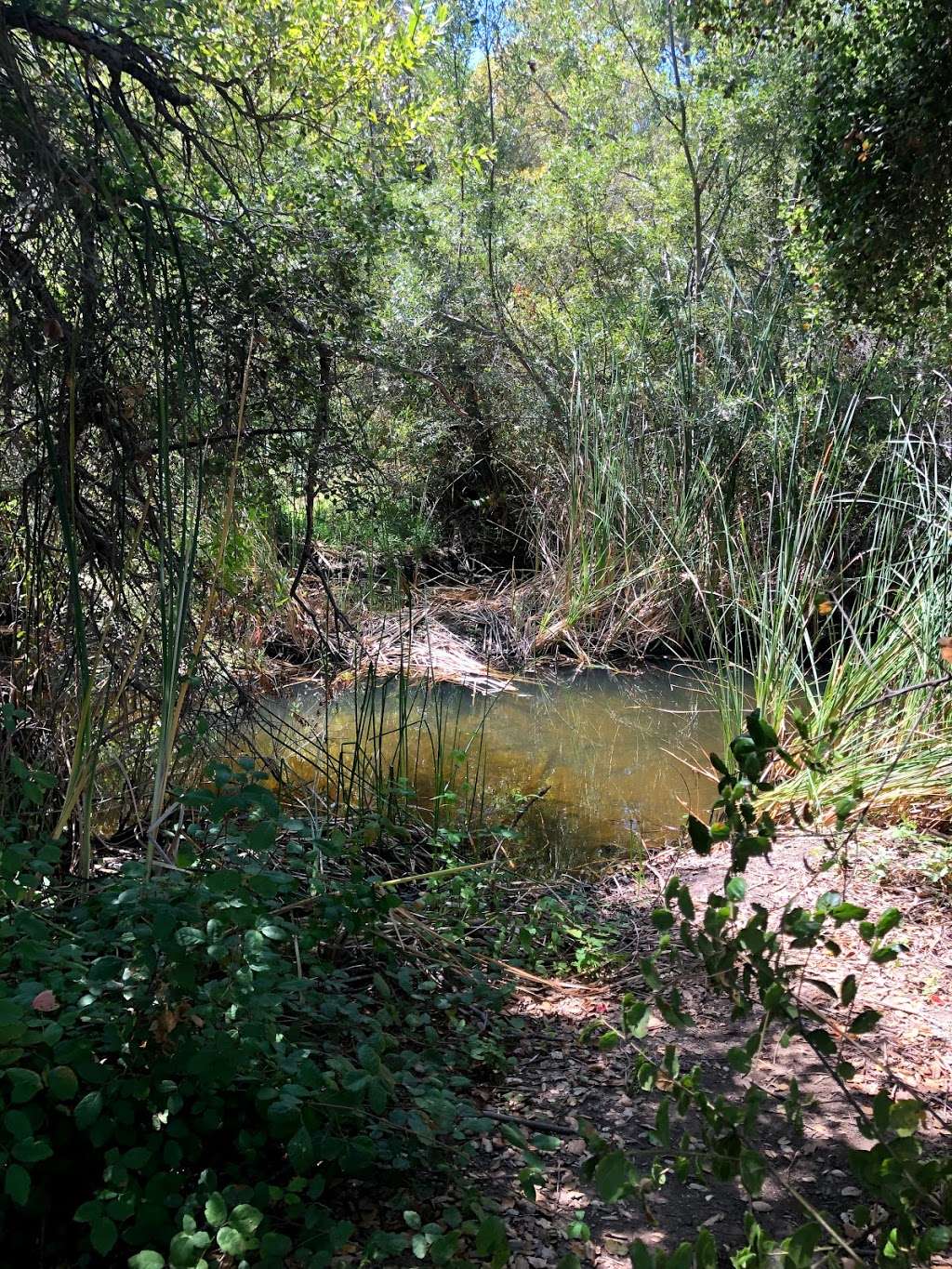 Penasquitos Creek Park Trail Head | 12048-11900 Camino Del Sur, San Diego, CA 92129, USA