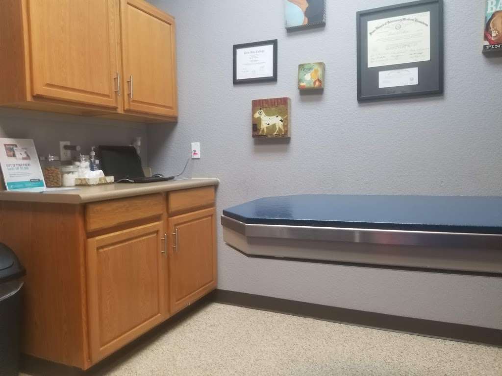 Amigo Animal Hospital - 12355 Potranco Rd #111, San Antonio, TX 78253 Amigo Animal Hospital - 12355 Potranco Rd #111, San Antonio, TX 78253