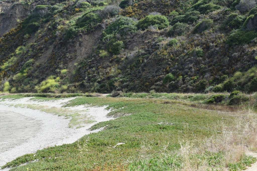 Tide Pools Parking Lot | Half Moon Bay, CA 94019