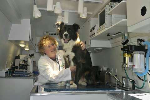 Pet Doc 2U Mobile Vet Clinic | 261 La Veta Ave, Encinitas, CA 92024, USA | Phone: (760) 753-9999