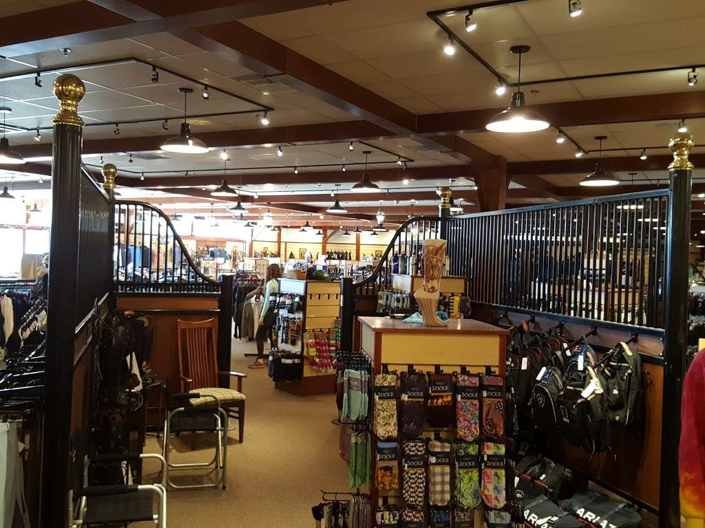 Dover Saddlery | 3150 US-22 #8, Branchburg, NJ 08876, USA | Phone: (908) 704-0101