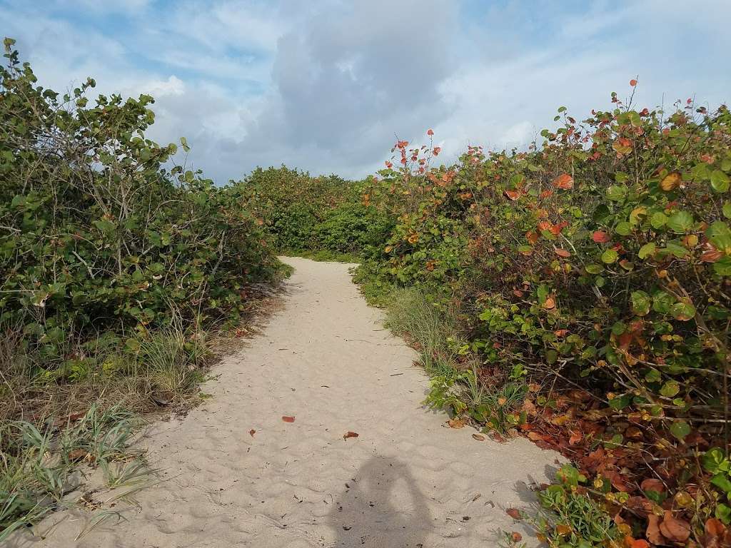 St. Lucie Inlet Preserve State Park | 4810 SE Cove Rd, Hobe Sound, FL 34997 | Phone: (772) 219-1880