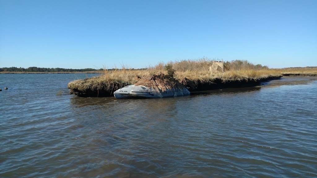 Dameron Marsh Natural Area Preserve | Kilmarnock, VA 22482, USA | Phone: (804) 786-7951