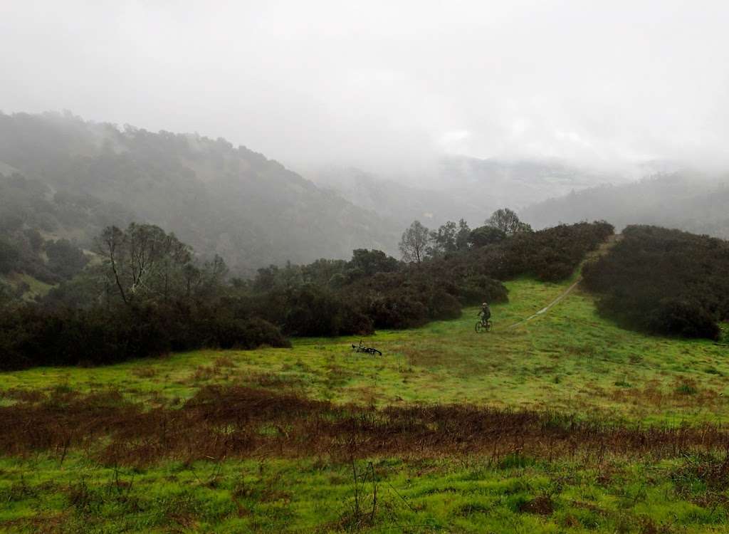 Moore Creek Park | 2602 Chiles Pope Valley Rd, St Helena, CA 94574, USA