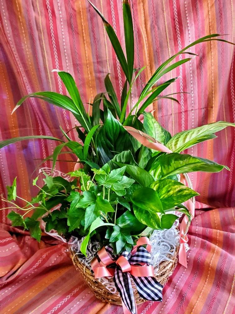 Flowers For You | 10455 Hole Ave, Riverside, CA 92505, USA | Phone: (951) 689-2710