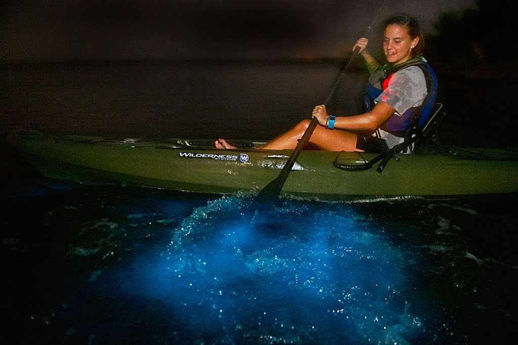 A Day Away Kayak Tours | 1390 Old Dixie Hwy, Titusville, FL 32796 | Phone: (321) 268-2655