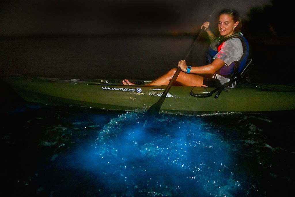 A Day Away Kayak Tours | 1390 Old Dixie Hwy, Titusville, FL 32796, USA | Phone: (321) 268-2655