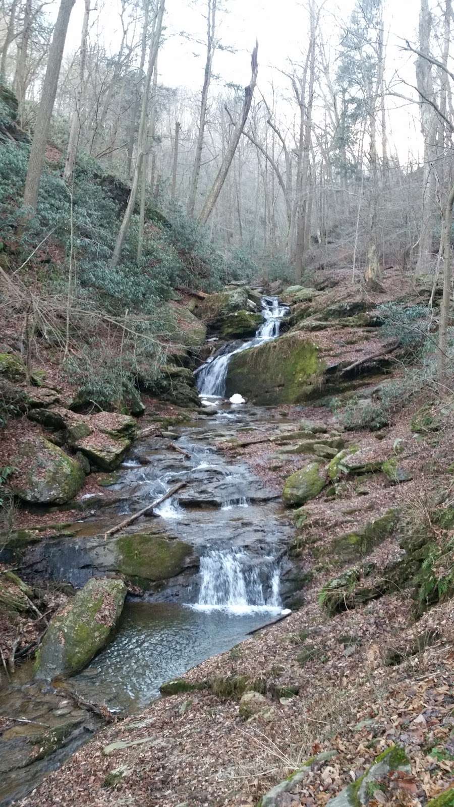 Mill Creek Falls (York Co.) Trail | River Rd, Airville, PA 17302, USA