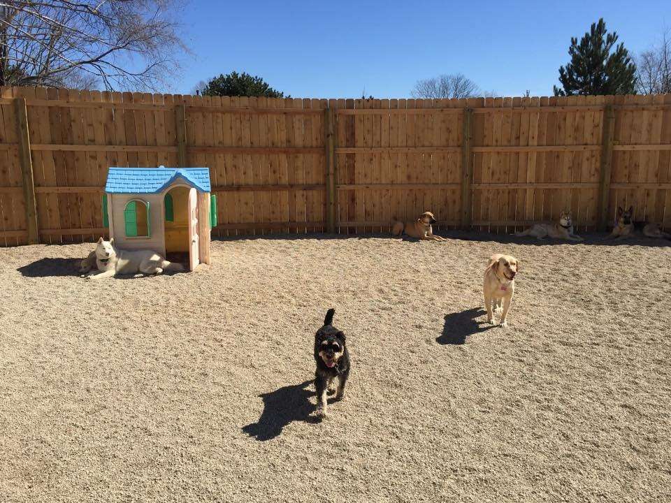 Happy Pet Place | 4817, 841 E Nerge Rd, Roselle, IL 60172, USA | Phone: (847) 278-1972