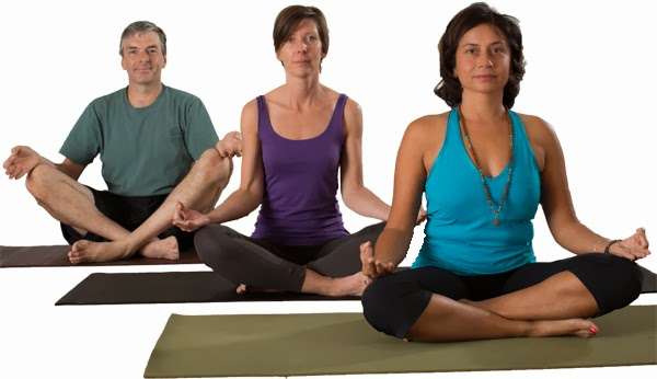 Yoga of Westchester | 5 Prospect Ave, White Plains, NY 10607 | Phone: (914) 426-0359