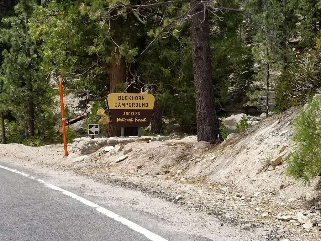 Buckhorn Campground | Angeles Crest Hwy, La Cañada Flintridge, CA 91011, USA | Phone: (626) 574-1613