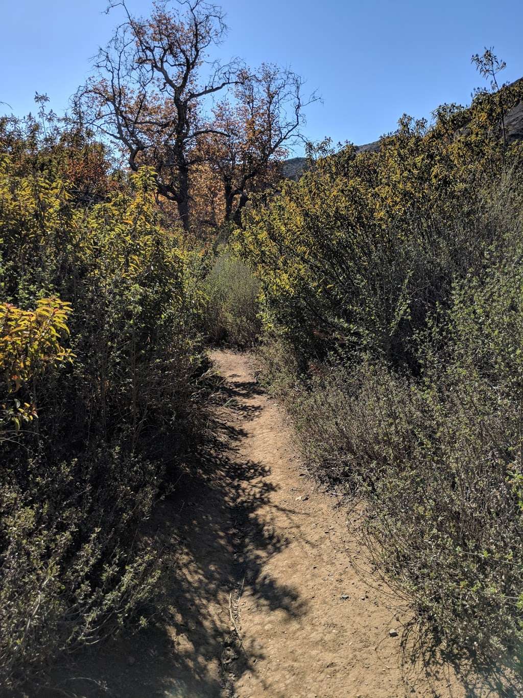 Scenic Trail | Scenic Trail, Malibu, CA 90265, USA