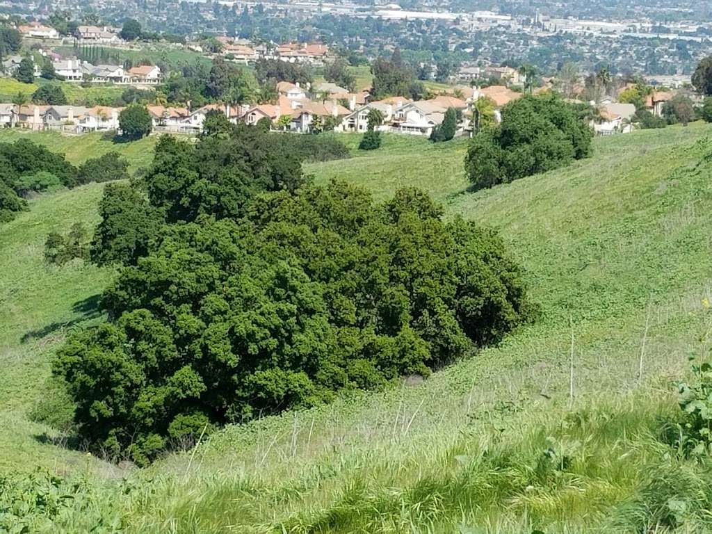 La Sierra Drive Trailhead | 13590 La Sierra Dr, Chino Hills, CA 91709, USA