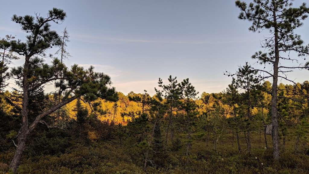 Ponemah Bog | Ponemah Bog Trail, Amherst, NH 03031, USA