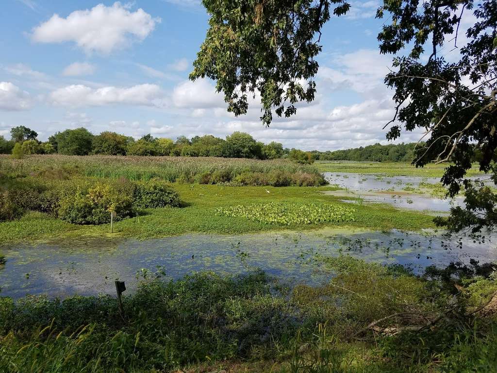 John Heinz National Wildlife Refuge at Tinicum | 8601 Lindbergh Blvd, Philadelphia, PA 19153, USA | Phone: (215) 365-3118