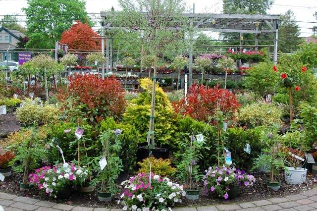 Hammetts Landscaping & Garden Center | 425 S Main St, Forked River, NJ 08731, USA | Phone: (609) 971-0453