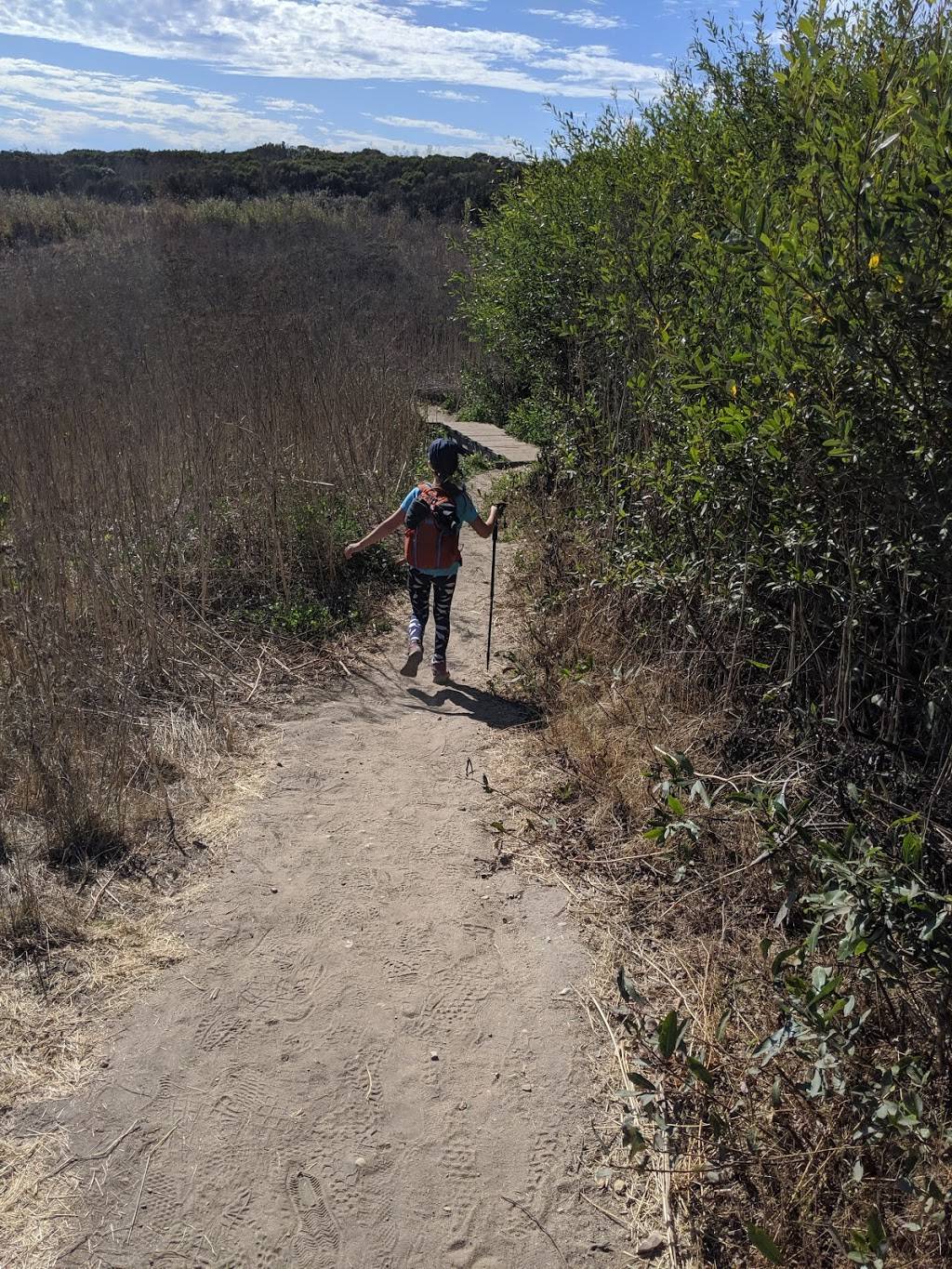 Fern Grotto Beach | Santa Cruz, CA 95060, USA | Phone: (831) 423-9703