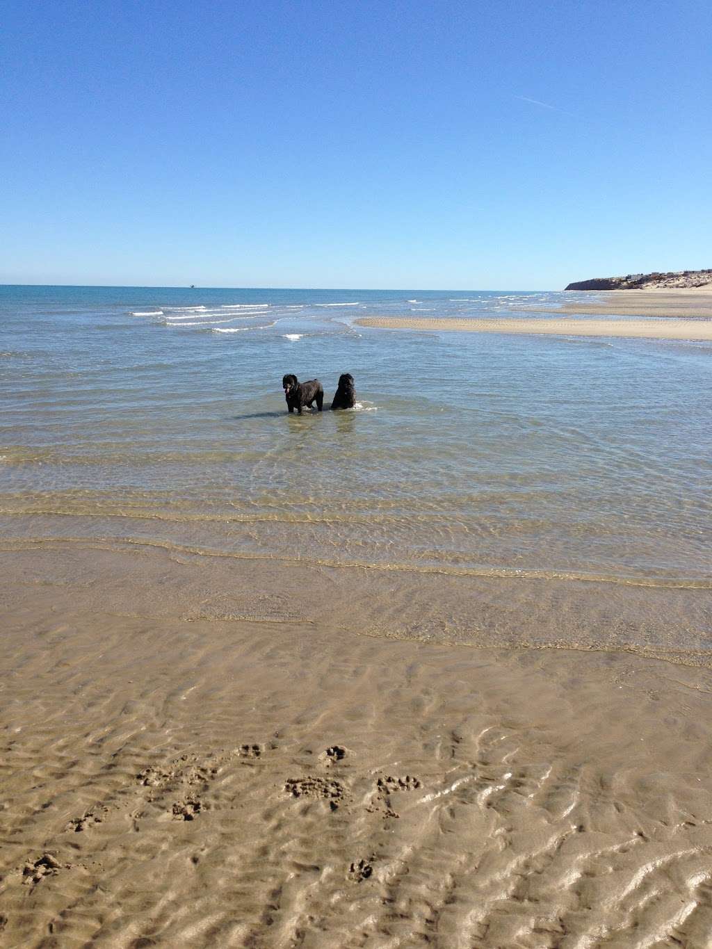 California Baja Rent A Car | 9245 Jamacha Blvd, Spring Valley, CA 91977, USA | Phone: (619) 470-7368