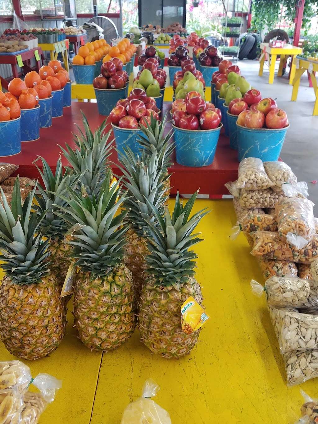 Batys Fruitstand & PalmTree Nursery | 4821 FM 521 Rd, Arcola, TX 77583 | Phone: (281) 431-9150