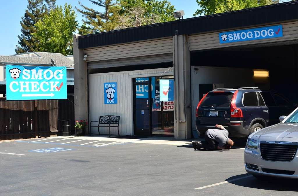 Smog Dog | 1250 Contra Costa Blvd, Pleasant Hill, CA 94523, USA | Phone: (925) 691-1045