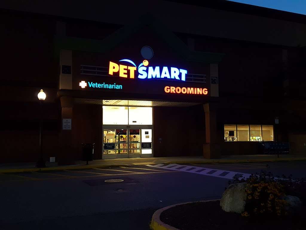 PetSmart | 3131 E Main St, Mohegan Lake, NY 10547, USA | Phone: (914) 528-4478
