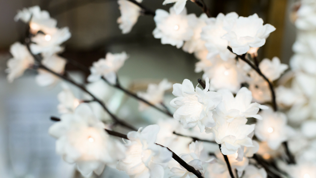 Riverside Floral Co | 307 Bridgeboro St, Riverside, NJ 08075, USA | Phone: (856) 461-7744