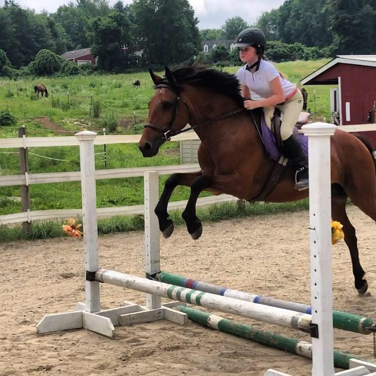 Clover Hill Equestrian Center | 227 Highland St, Berlin, MA 01503, USA | Phone: (978) 415-9807