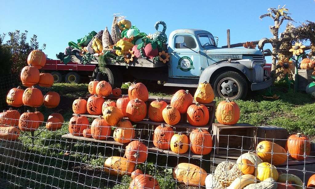 Linvilla Orchards | 137 West Knowlton Rd, Media, PA 19063, USA | Phone: (610) 876-7116