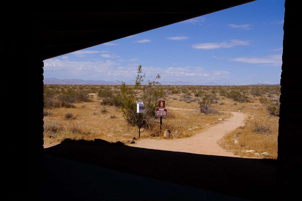 Desert Tortoise Natural Area | 140th St, California City, CA 93505, USA | Phone: (951) 683-3872