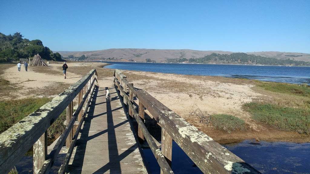 Tomales Bay State Park | 1100 Pierce Point Rd, Inverness, CA 94937, USA | Phone: (415) 669-1140