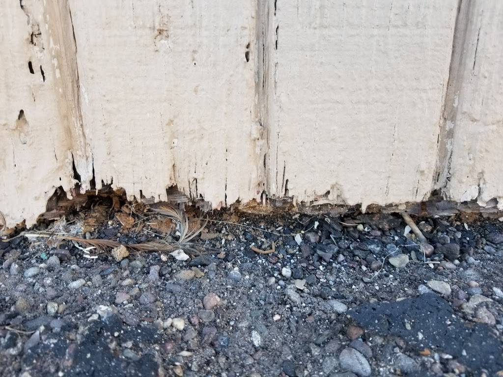 ProBest Pest Management | 751 N Monterey St #116, Gilbert, AZ 85233, USA | Phone: (480) 831-9328