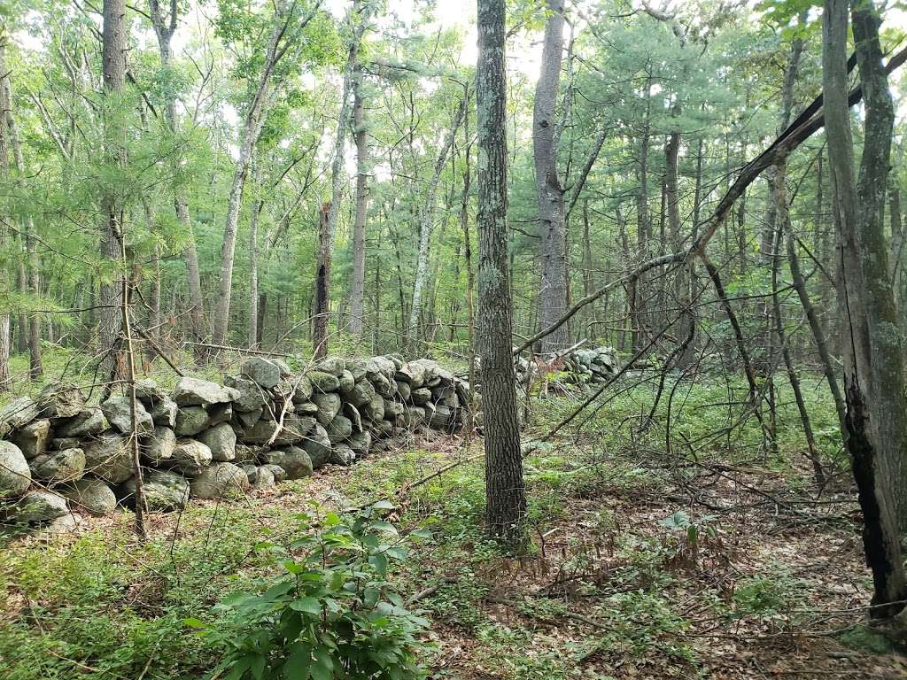 Franklin State Forest | 80 Forge Hill Rd, Franklin, MA 02038