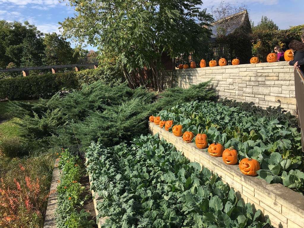 Fruit and Vegetable Garden | Highland Park, IL 60035, USA