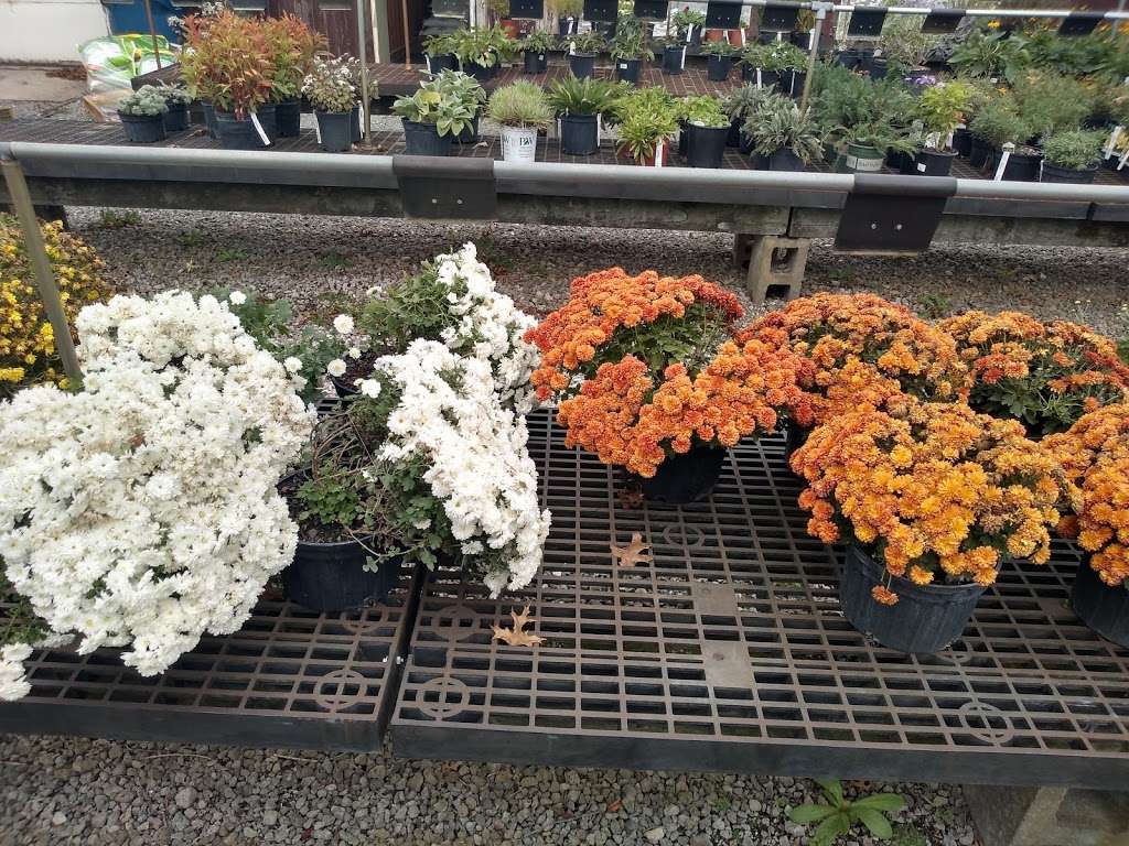 Four Seasons Landscaping Nursery | 226 East U.S. Highway 6, Valparaiso, IN 46383, USA | Phone: (219) 464-4941