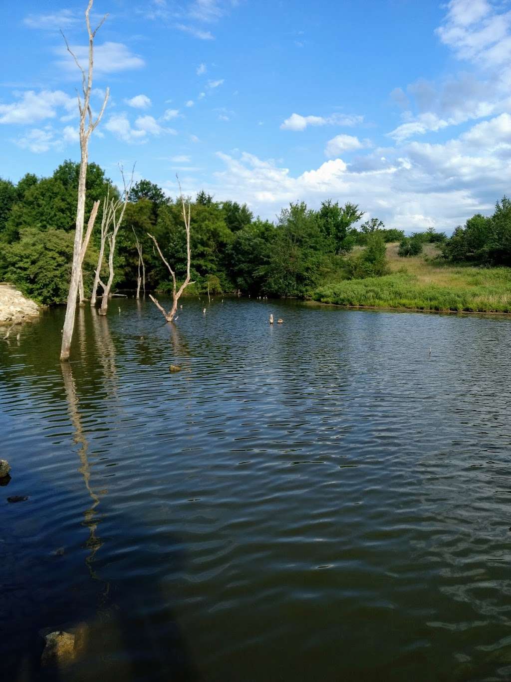 Belcher Branch Lake Conservation Area | Faucett, MO 64448, USA