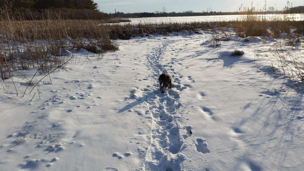 Fermilab Dog Training Area | Batavia Rd, Warrenville, IL 60555, USA | Phone: (630) 840-4845