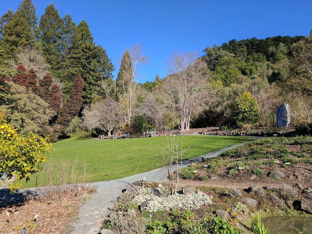 University of California Botanical Garden at Berkeley | 200 Centennial Dr, Berkeley, CA 94720, USA | Phone: (510) 643-2755